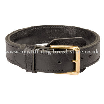 Big Leather Dog Collar with Buckle for Large Tibetian Mastiff