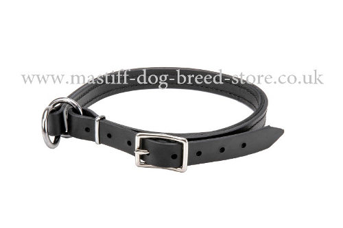 Thick Dog Collar