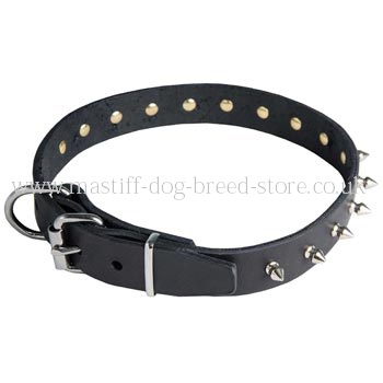 Spiked Leather Mastiff Collar