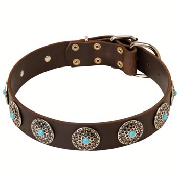 Studded Dog Collar