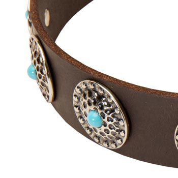 Luxury Dog Collar