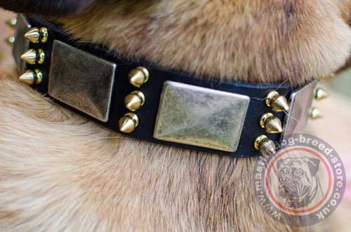 Leather Strong Dog Collar with Ancient Style Decorative Plates and Spikes