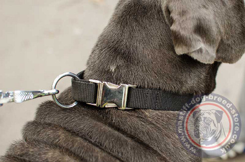 Nylon Dog Collar with Metal Quick Release