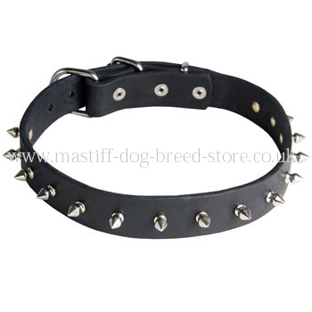 Italian Mastiff Luxury Leather Dog Collar