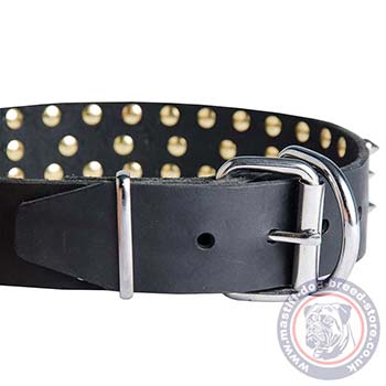 Aggressive Dog Collar with Spikes