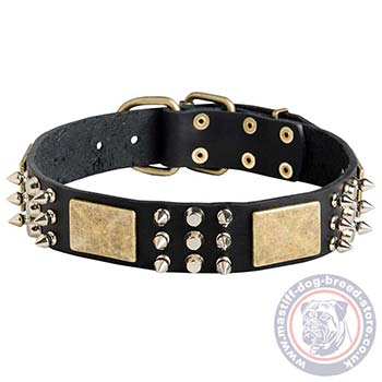 Awesome Dog Collar for Bullmastiff