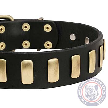 Dog Collar for Big Dogs Handmade by Professionals