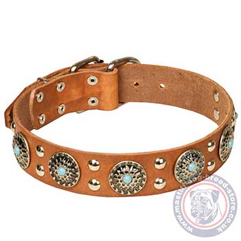 Luxury Dog Collar