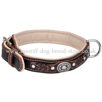 Soft Padded Awesome Dog Collar