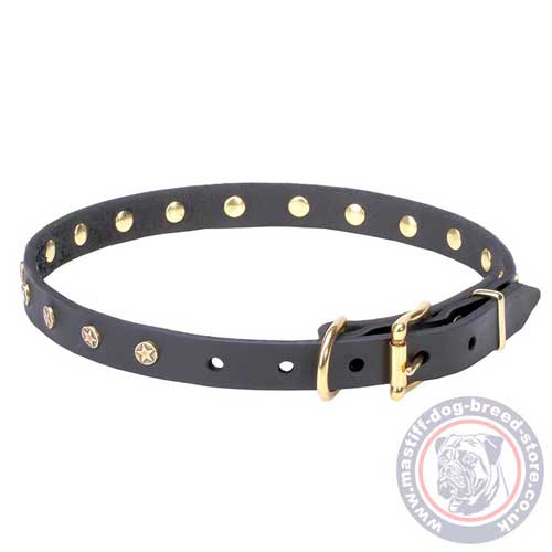 Soft Dog Collars for Mastiff Puppies