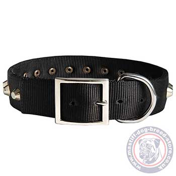 Beautiful Dog Collars for Big Mastiff Dog