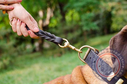 Bull Mastiff Collar