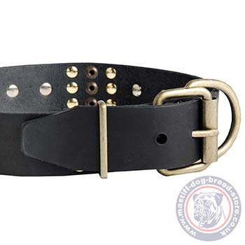 Stylish Neapolitan Mastiff Dog Collar