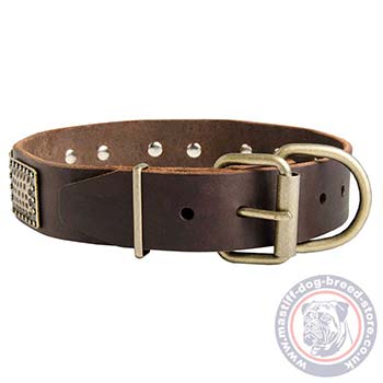 Best Collars for Large Dogs Like Mastiff