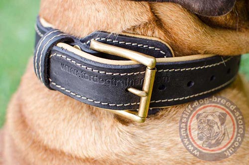 Bullmastiff Leather Dog Collar with Buckle