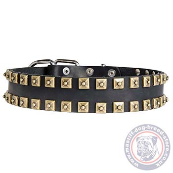 Mastiff Dog Collar