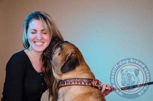 Bullmastiff Designer Dog Collars UK