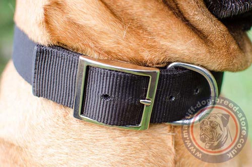 Bullmastiff Nylon Dog Collar with Metal Buckle