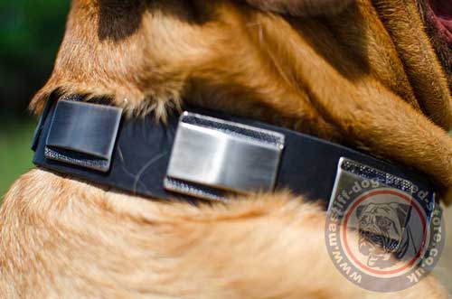 Big Dog Collars UK