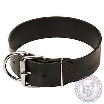 2 Inch Wide Dog Collar