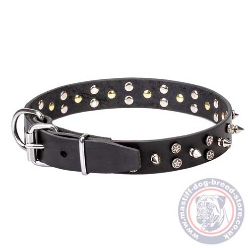 Mastiff Dog Collar Studded