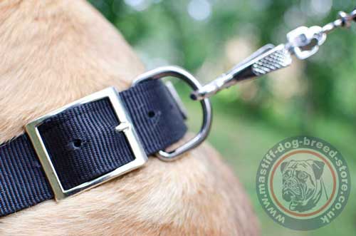 Black Nylon Dog Collar with Chromed Hardware