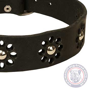 Nice Dog Collar with Reliable Buckle