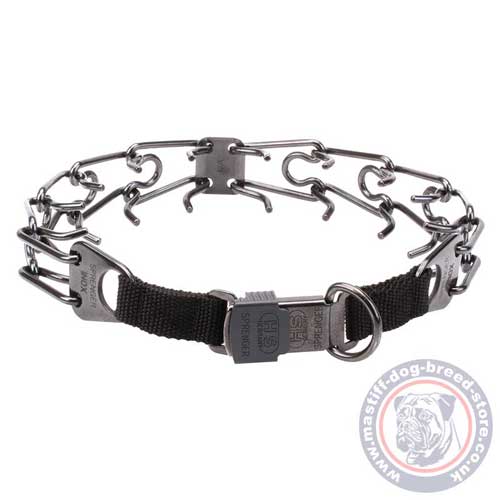 Black Stainless Steel Prong Collar for Mastiff Training