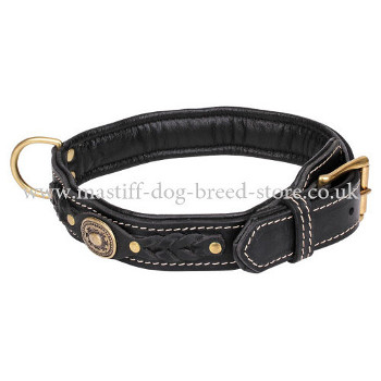 Luxury Dog Collars for Large Dogs