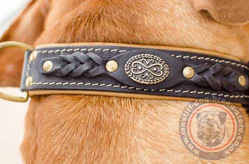 Dogue De Bordeaux Collars