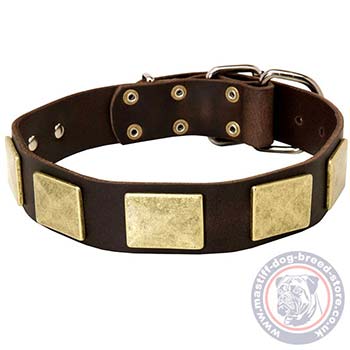 Brass Palted Handmade Dog Collars for Large Dogs