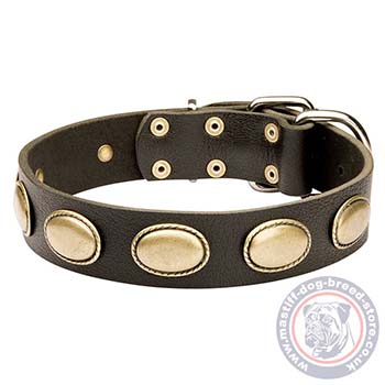 Brass Plated Leather Dog Collar for Mastiff