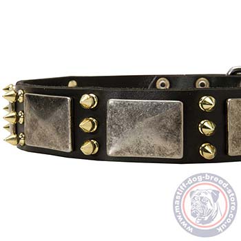 Mastiff Dog Collars