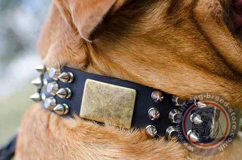 Dogue De Bordeaux Collars UK