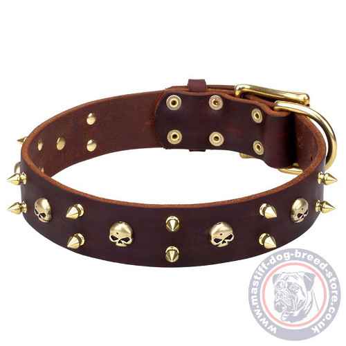 Spiked Leather Dog Collar