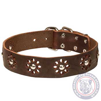 Pretty Dog Collars for Mastiff