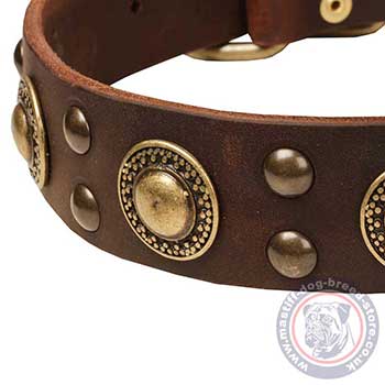 Leather Handmade Dog Collars UK