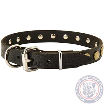 Studded Leather Dog Collar with Buckle