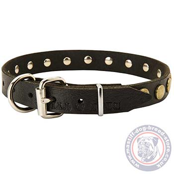 Buckle Collar for Mastiff