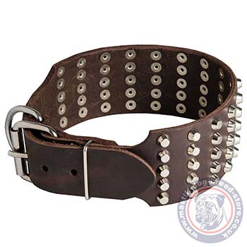 X Large Dog Collars Studded