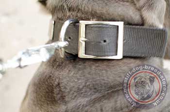 Neapolitan Mastiff Collars for Dogs