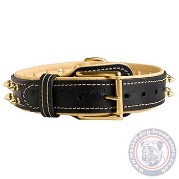 Strong Dog Collar with Spikes