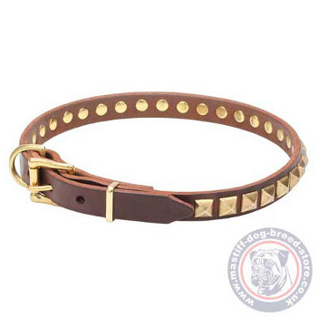 Studded Dog Collar with Buckle