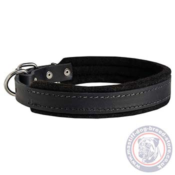 Soft Leather Collars for Dogs