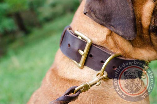 Bullmastiff Leather Dog Collar with Buckle