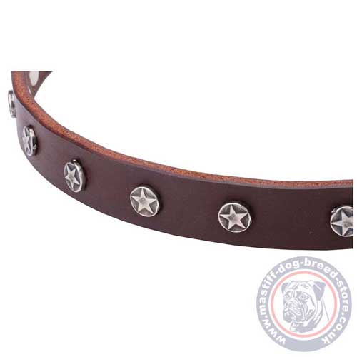 Natural Leather Dog Collar for Mastiff Puppies