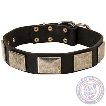 Large Dog Collars