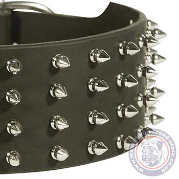 Wide Leather Dog Collars