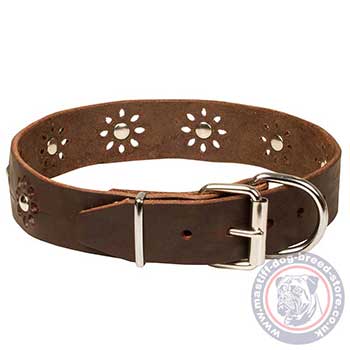 Nice Dog Collar with Reliable Buckle