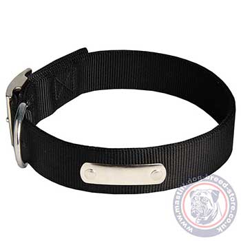 Nylon ID Dog Collars with Buckle